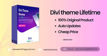 divi theme pro